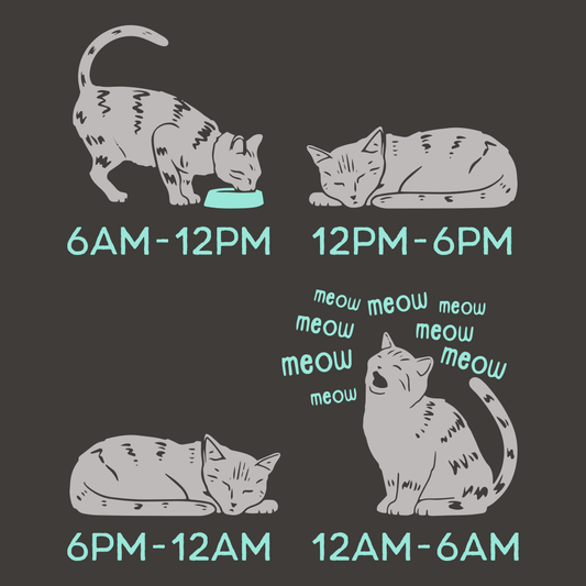 Cat Day Schedule