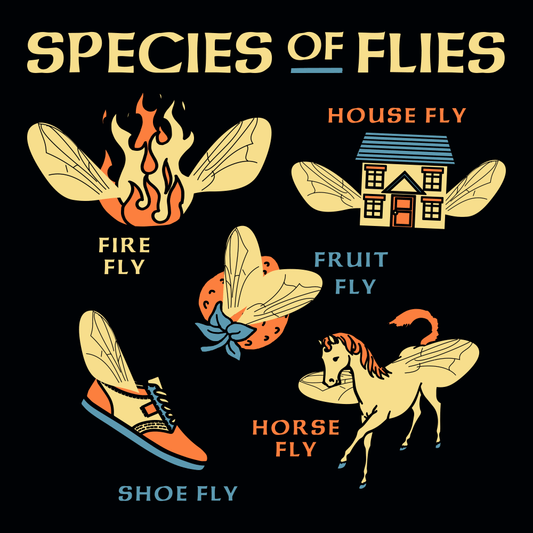 Species Of Flies