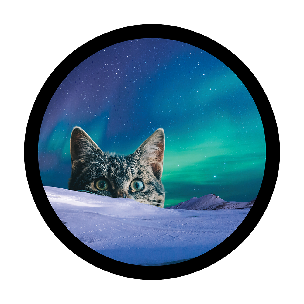 Meowthern Lights Sticker