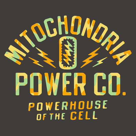 Mitochondria Powerhouse Of The Cell