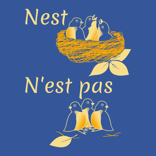 Nest N'est Pas