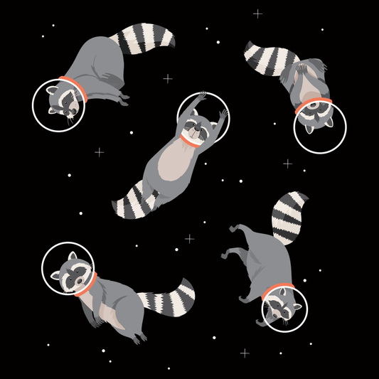 Raccoons In Space
