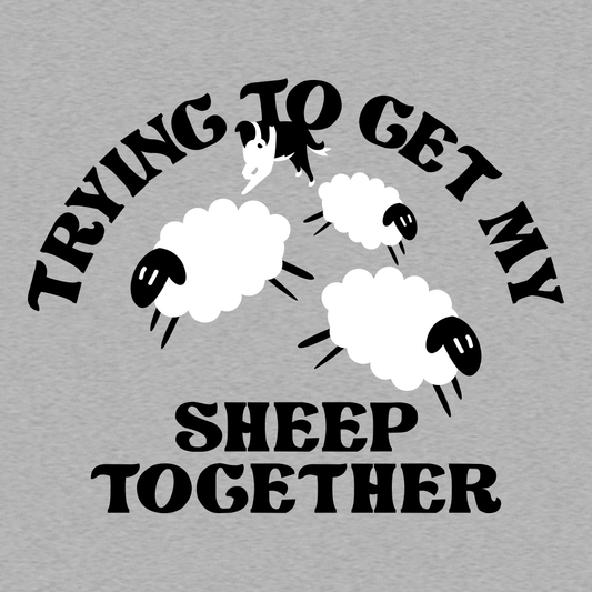 Trying To Get My Sheep Together