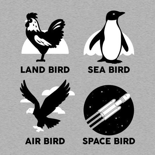 Types Of Birds