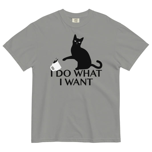 I Do What I Want Men's Relaxed Fit Tee