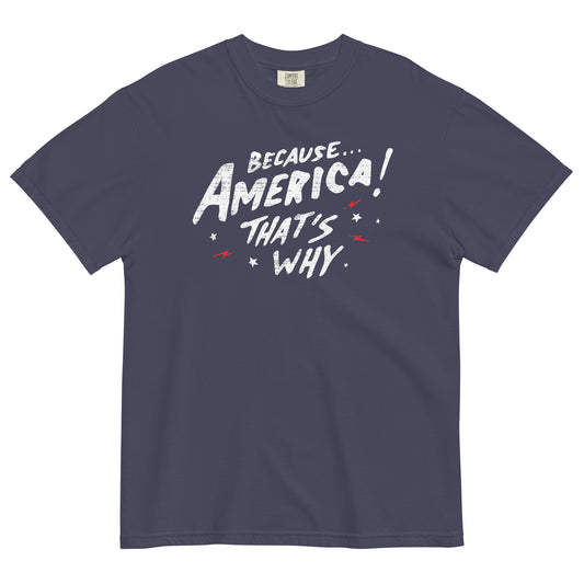 Because America Men's Relaxed Fit Tee