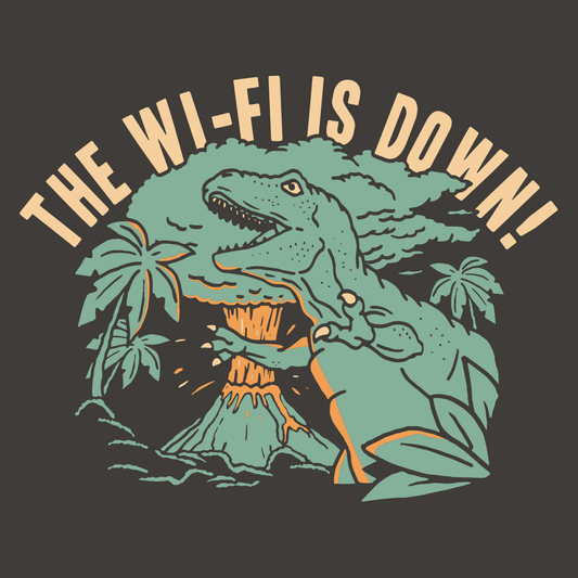 The Wi-Fi Is Down!