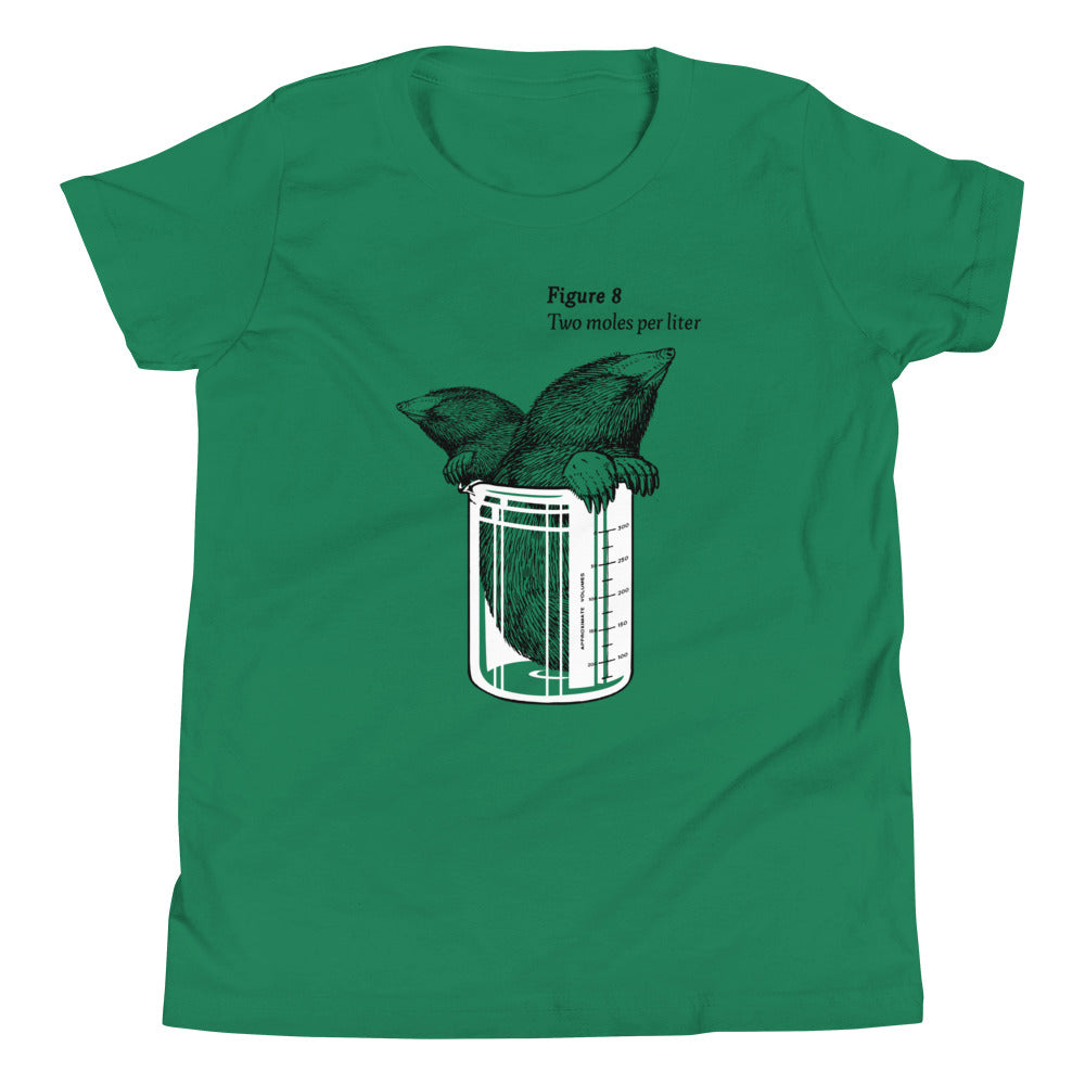 Two Moles Per Liter Kid's Youth Tee