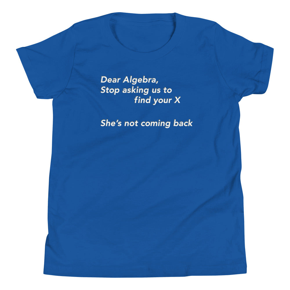 Dear Algebra, Stop Asking Us To Find Your X Kid's Youth Tee