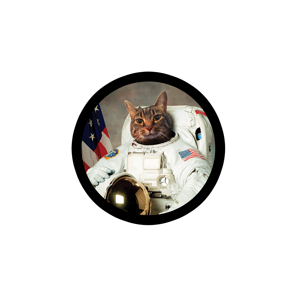 Astrocat Sticker