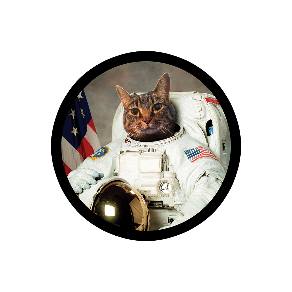 Astrocat Sticker
