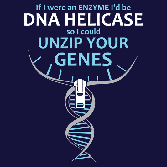 DNA Helicase