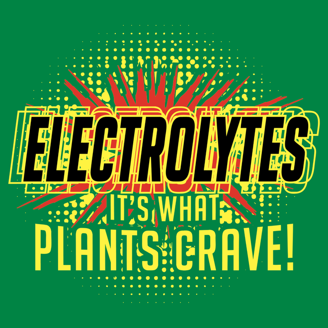 Electrolytes, It's What Plants Crave! Mug – SnorgTees.com