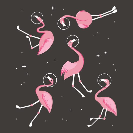 Flamingos In Space