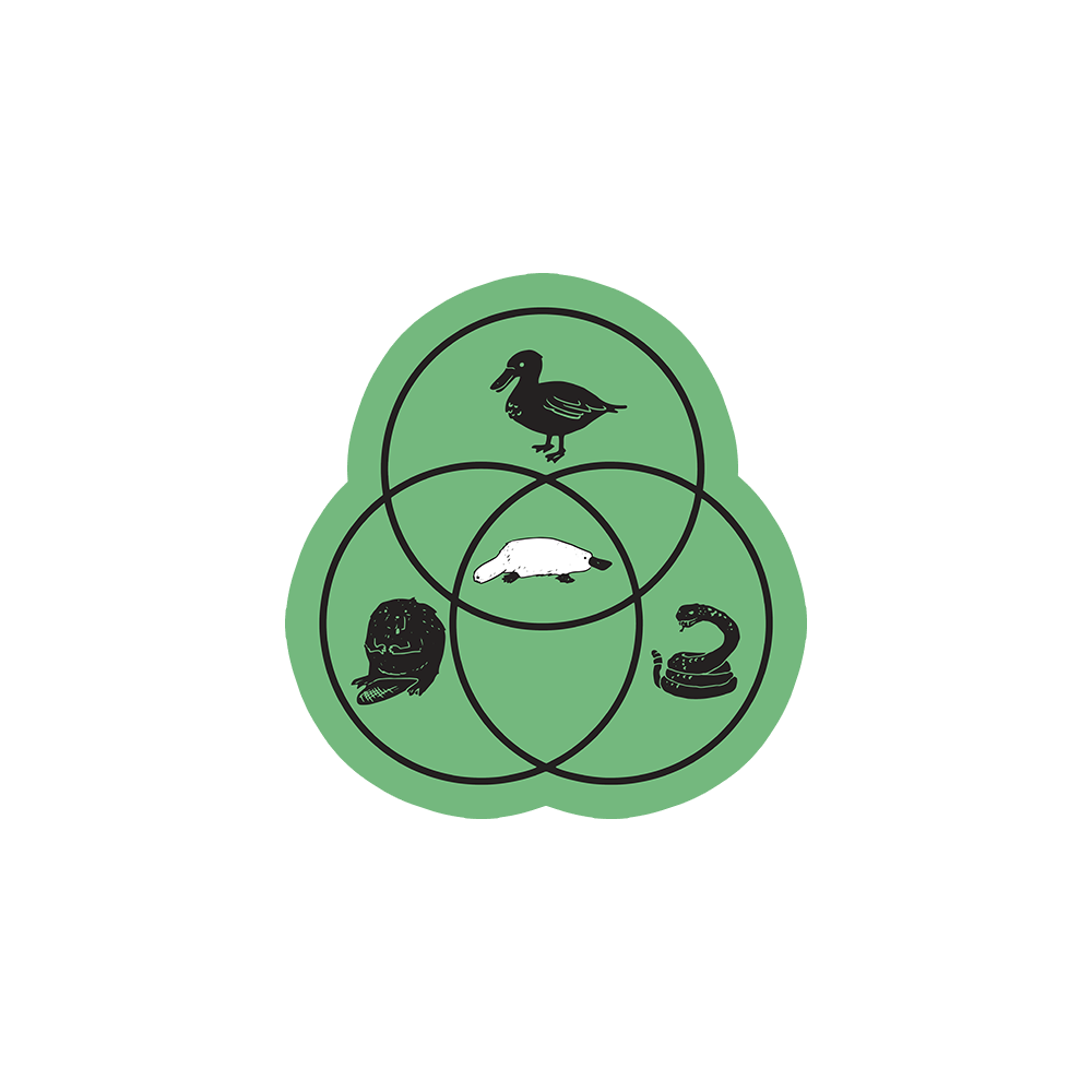 Platypus Venn Diagram Sticker