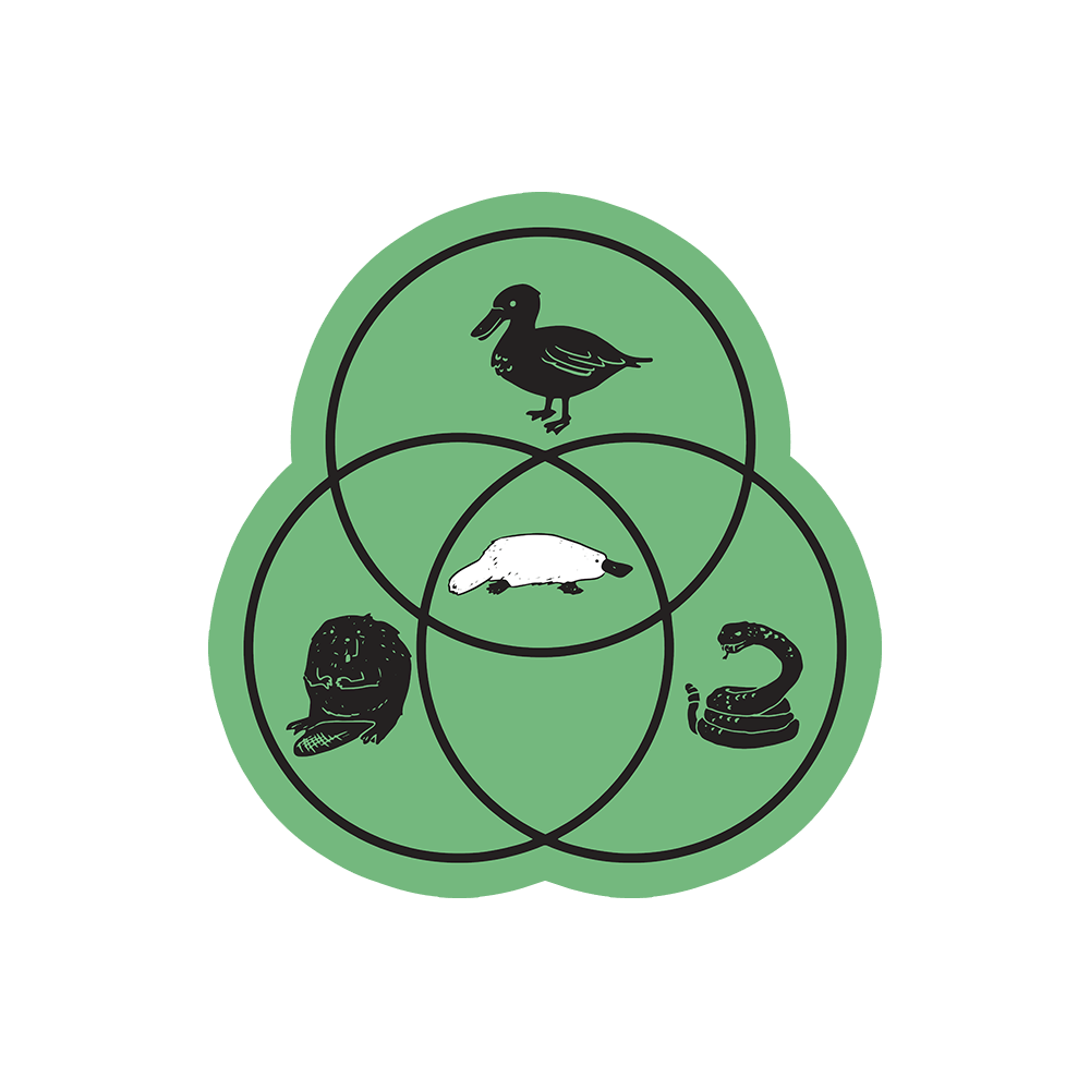 Platypus Venn Diagram Sticker