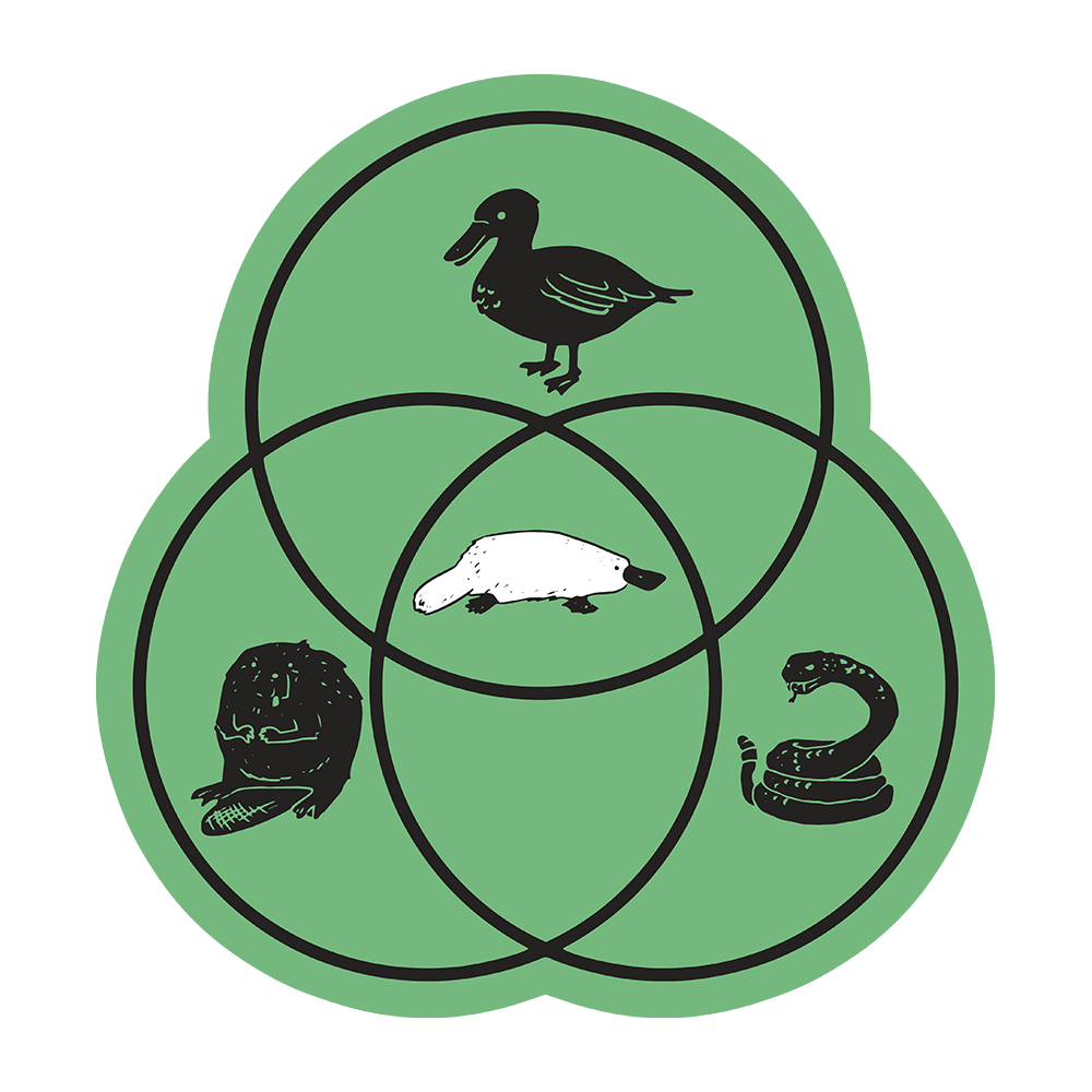 Platypus Venn Diagram Sticker