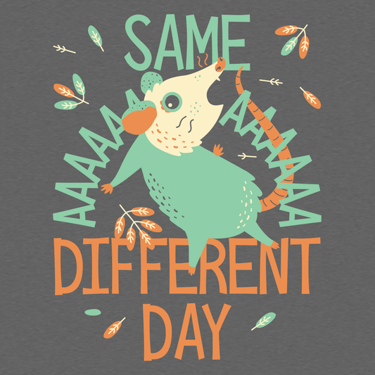 Same Aaaa Different Day