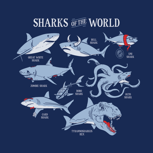 Sharks Of The World