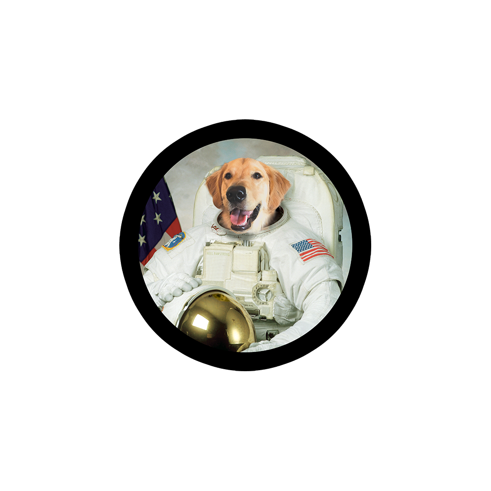 Astrodog Sticker
