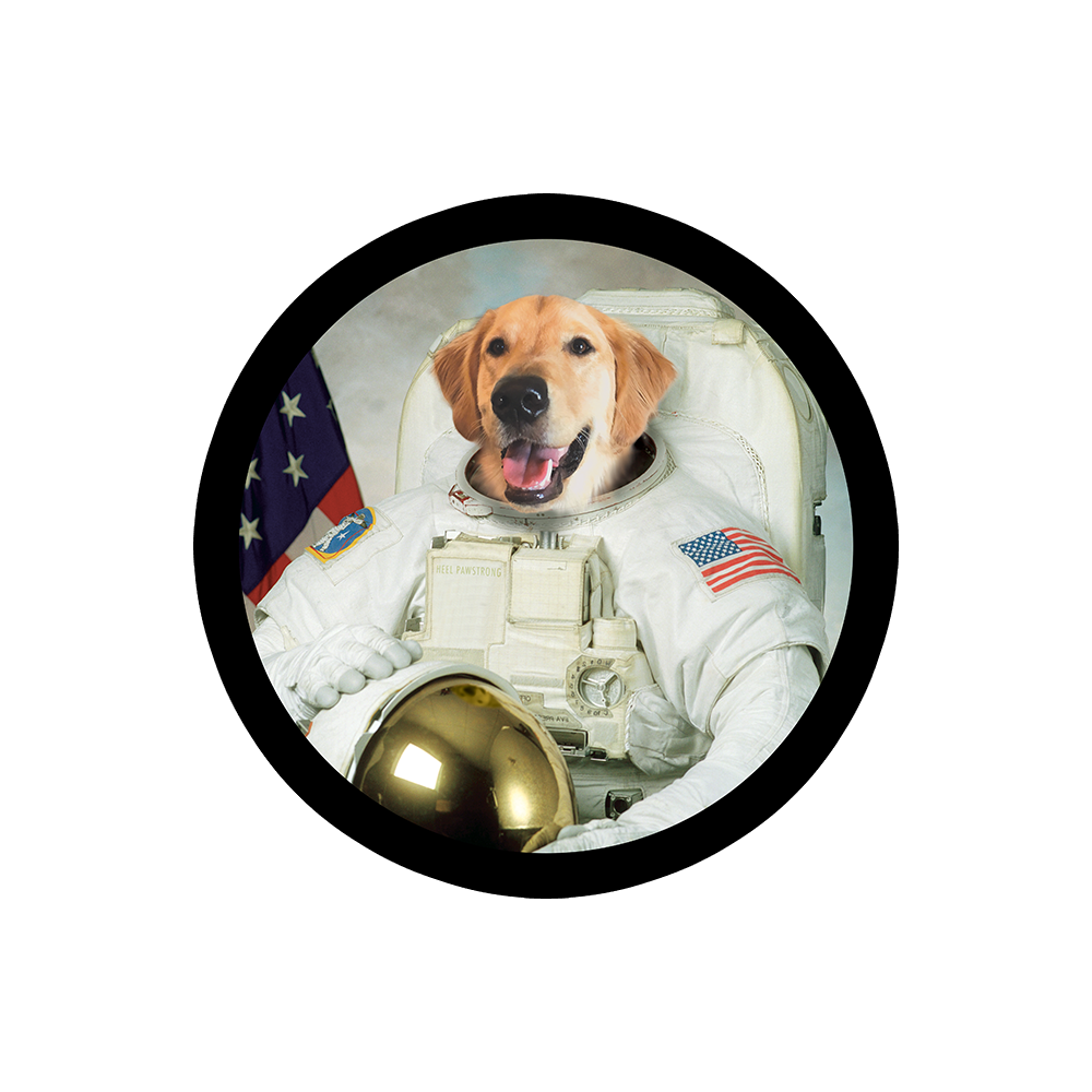 Astrodog Sticker