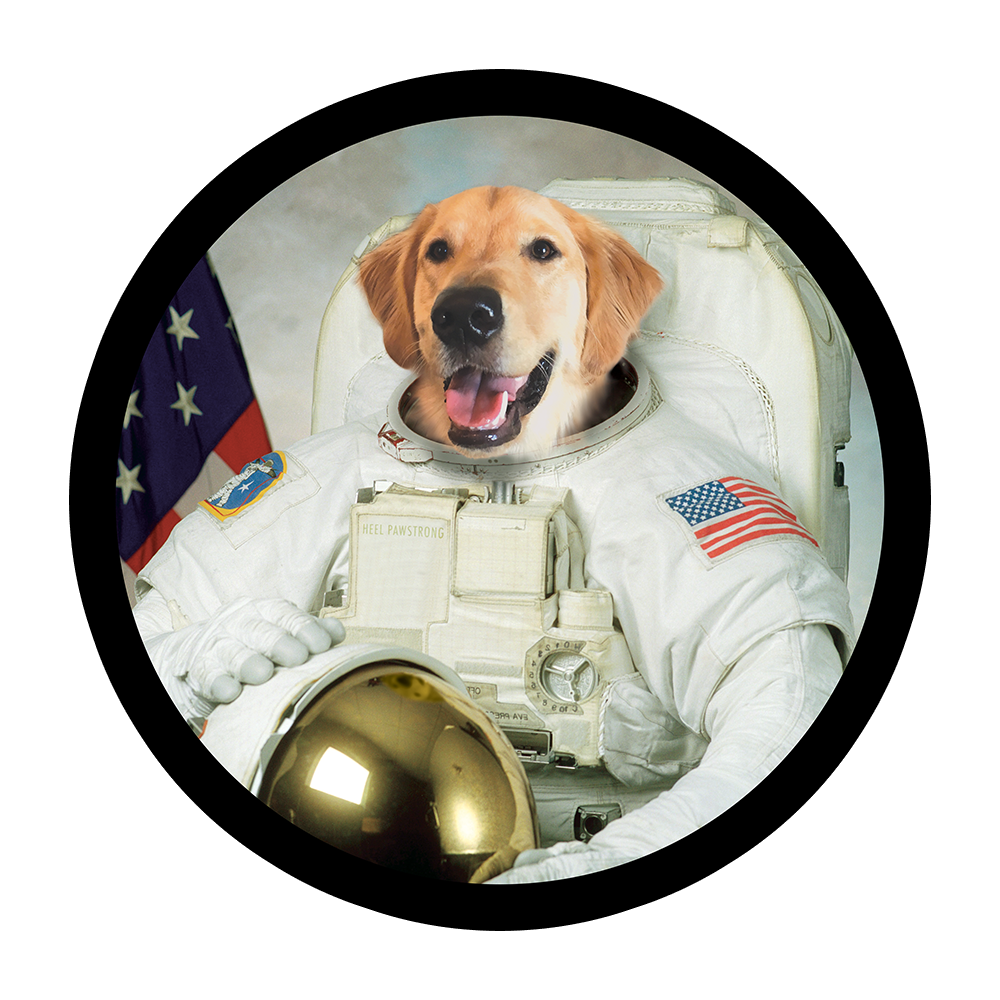 Astrodog Sticker