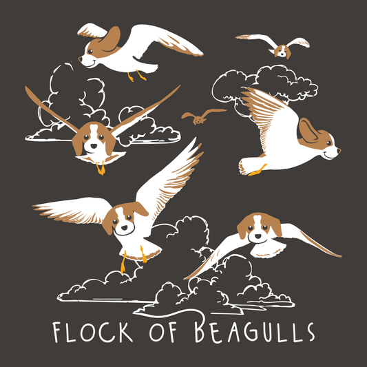 Flock Of Beagulls