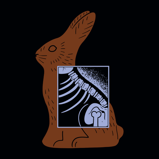 Bunny X-Ray