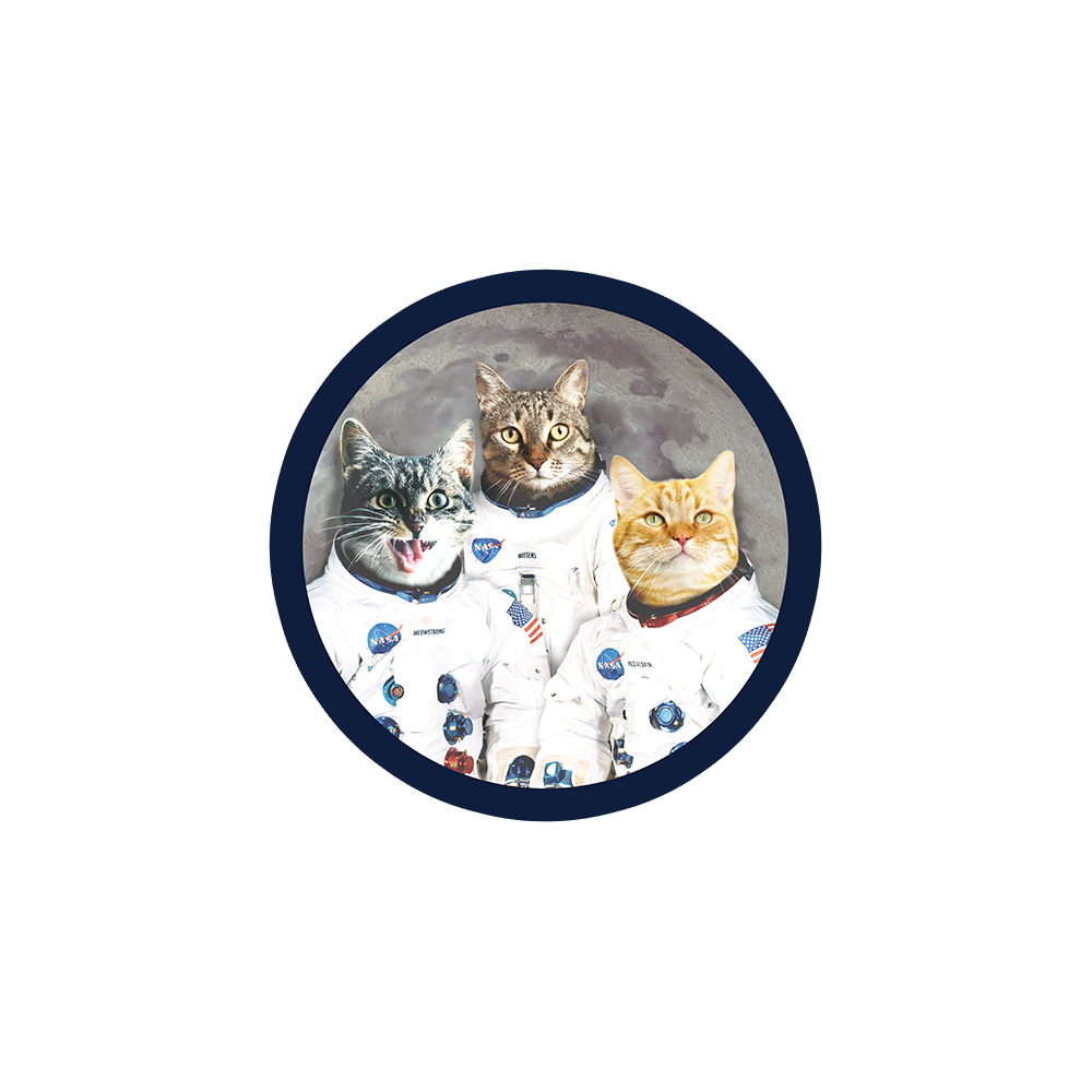 Catstronauts Sticker