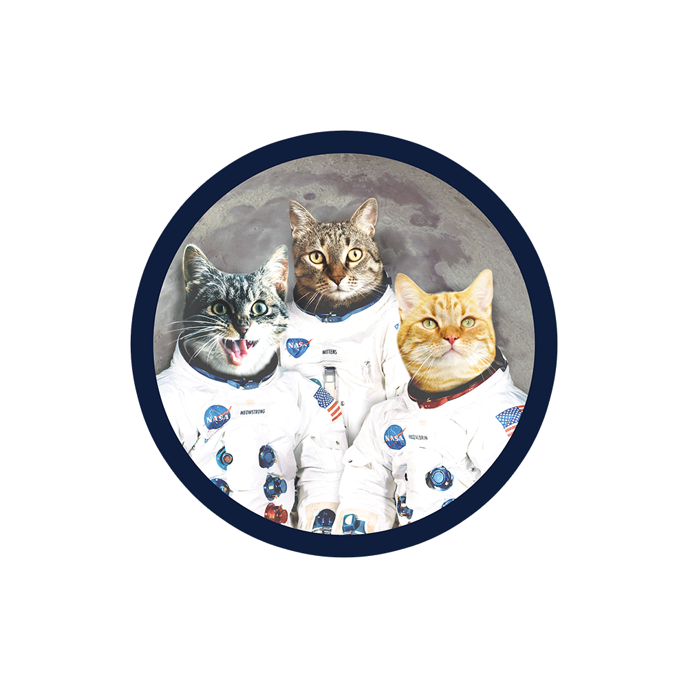 Catstronauts Sticker