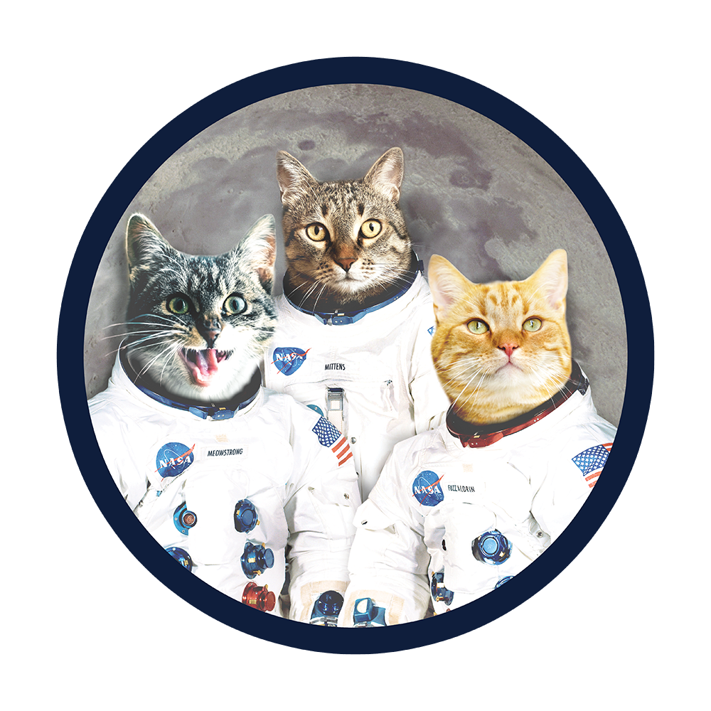 Catstronauts Sticker
