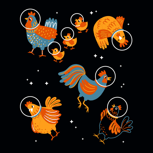 Chickens In Space