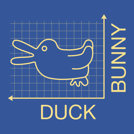 Duck Or Bunny
