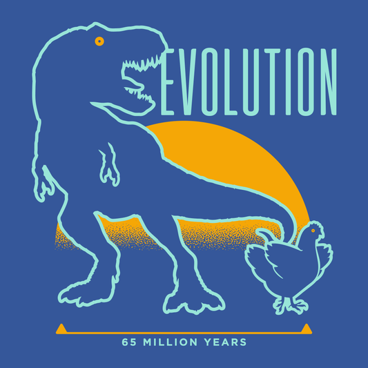 Dinosaur Evolution