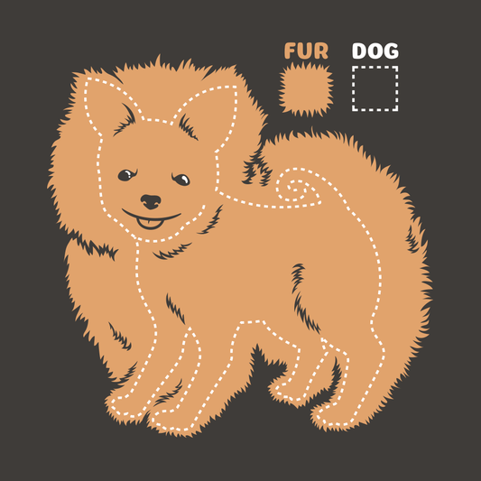 Dog vs Fur Pomeranian