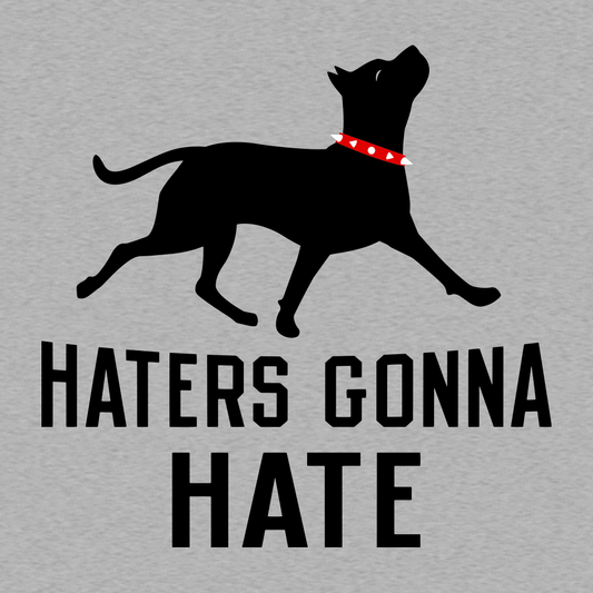 Haters Gonna Hate Pit