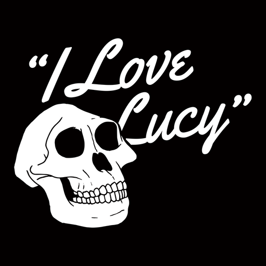 I Love Lucy