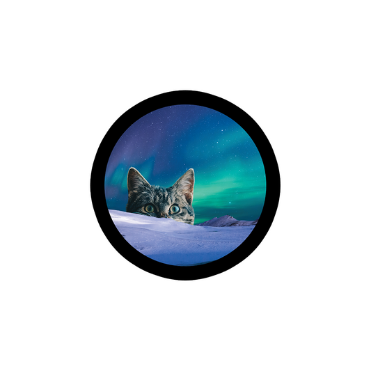 Meowthern Lights Sticker