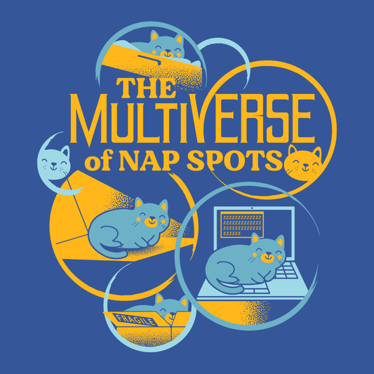 The Multiverse Of Nap Spots