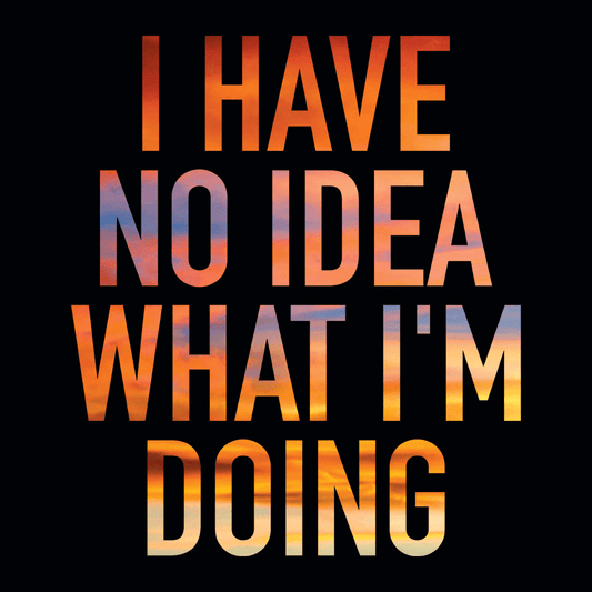 I Have No Idea What I'm Doing