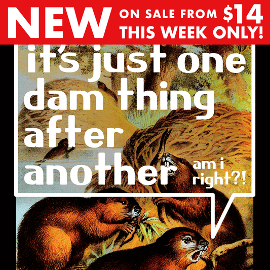 It's Just One Dam Thing After Another
