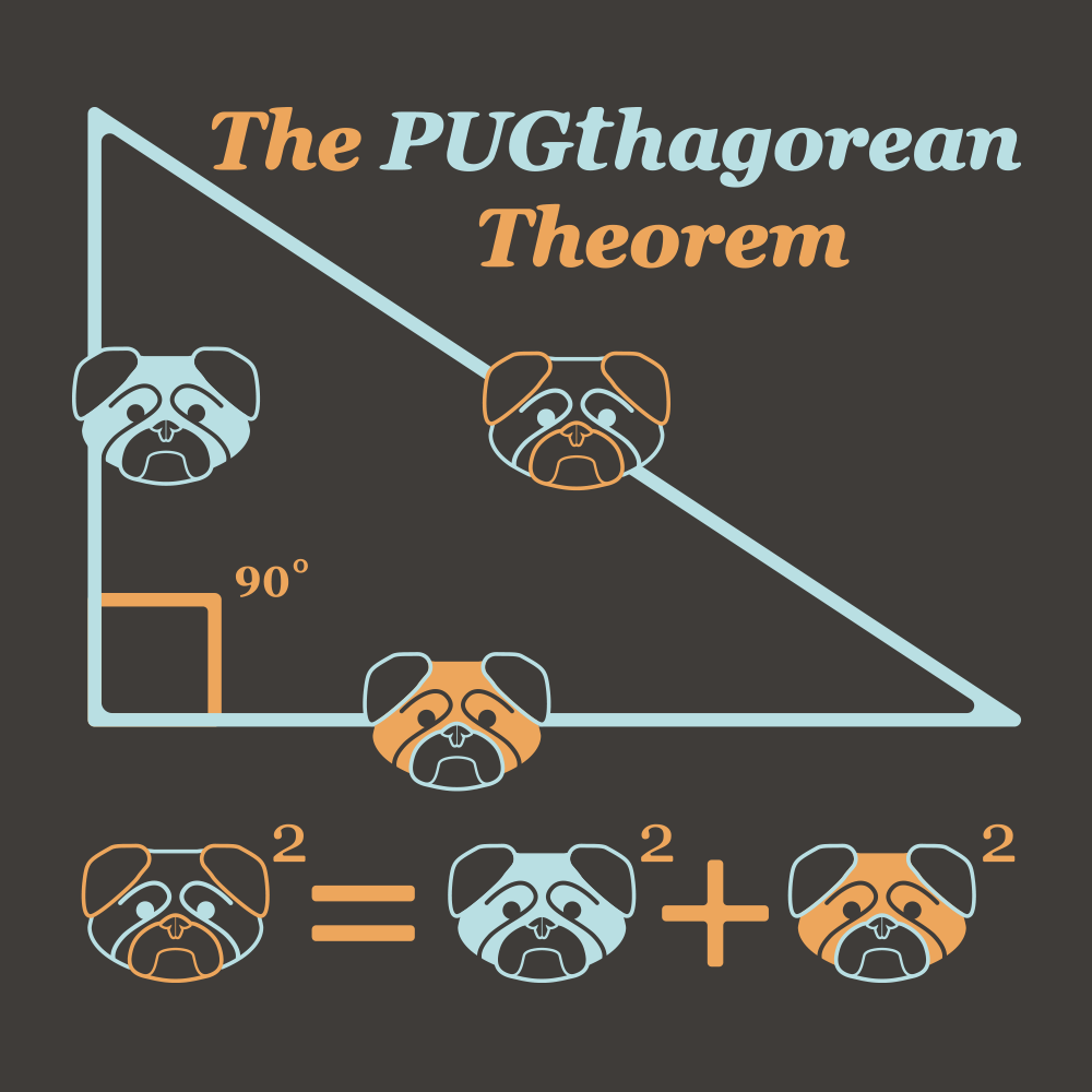 Funny Math T-Shirts, Hoodies, Tank Tops, and More – SnorgTees.com