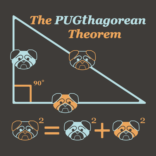 Pugthagorean Theorem