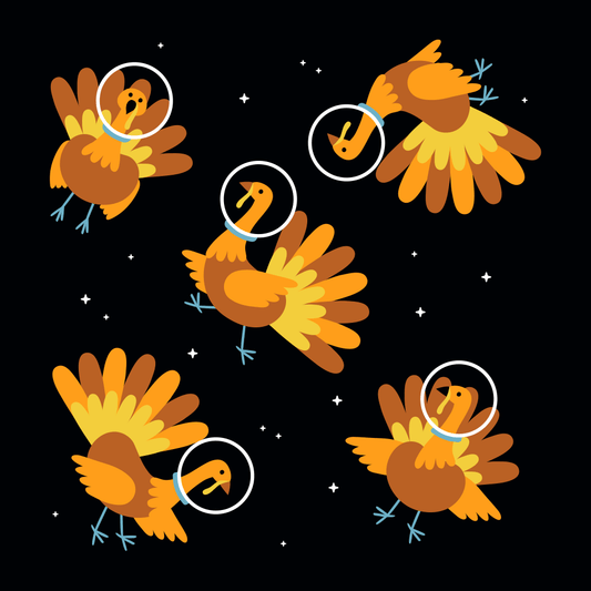 Turkeys In Space