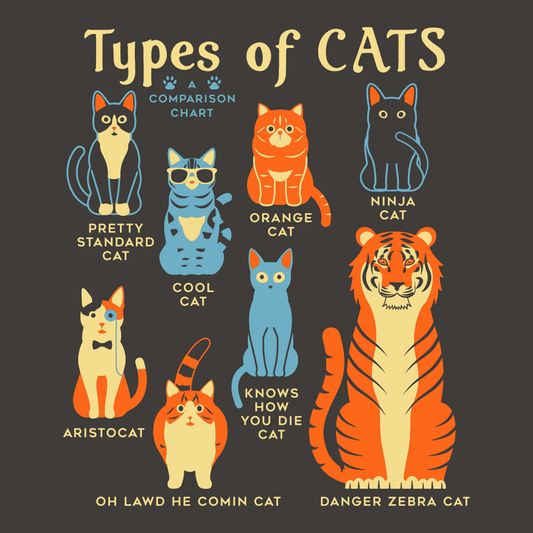 Types Of Cats