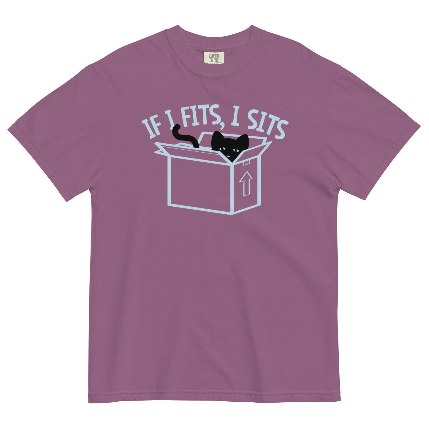 If I Fits, I Sits Men's Relaxed Fit Tee