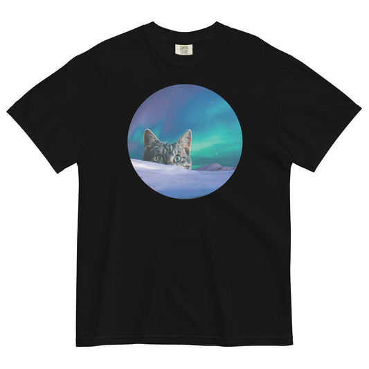 Meowthern Lights Men's Relaxed Fit Tee
