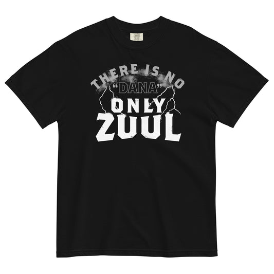Only Zuul Men's Relaxed Fit Tee