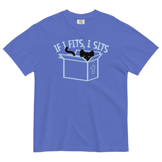 If I Fits, I Sits Men's Relaxed Fit Tee