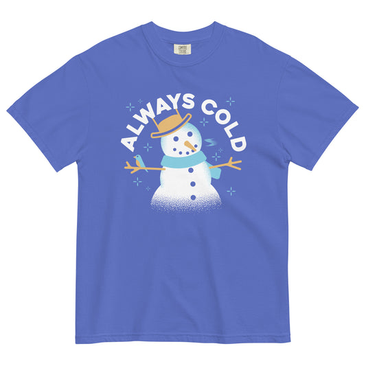 Always Cold Men's Relaxed Fit Tee